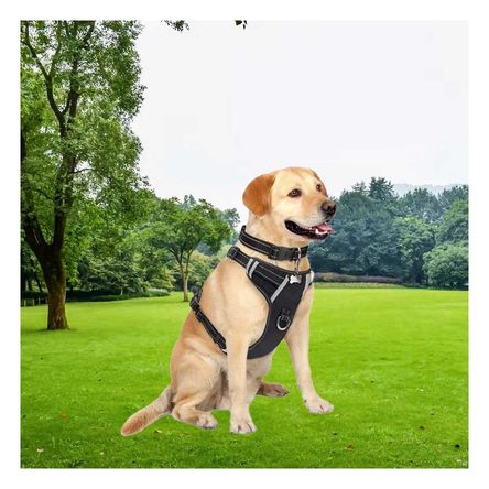 Pechera para Canes con Forro Suave S Negro Y+Papel de Regalo Pechera para Canes con Forro Suave S Negro Y+Papel de Regalo