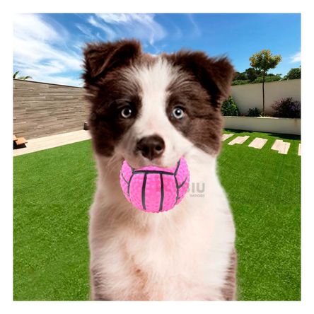 Pelota a Rayas de Caucho con Relieve y Sonido Rosado