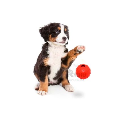 Pelotita Ligera y Duradera en Rojo Y+Post-it adhesivos Pelotita Ligera y Duradera en Rojo Y+Post-it adhesivos