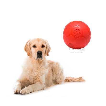 Pelota Compacta Talla L de Tono Rojo Y+Papel de Regalo