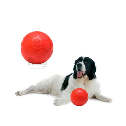 Pelota Resistente a Mordida en Talla L en Rojo Y+Stickers