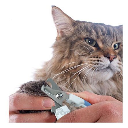 Corta Uñas Perfecto para MascotasChico Azul Y+Stickers