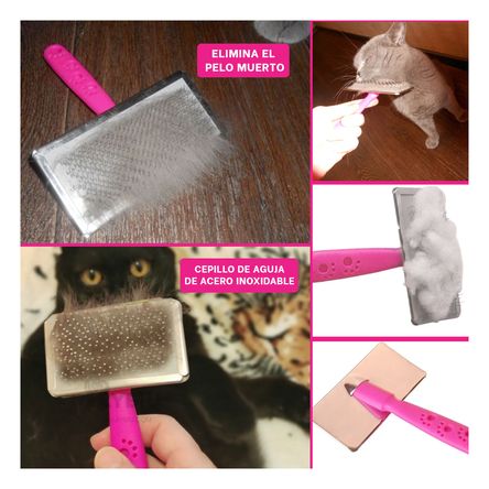 Peine para Animales Color Fucsia Talla M Y+Post-it adhesivos