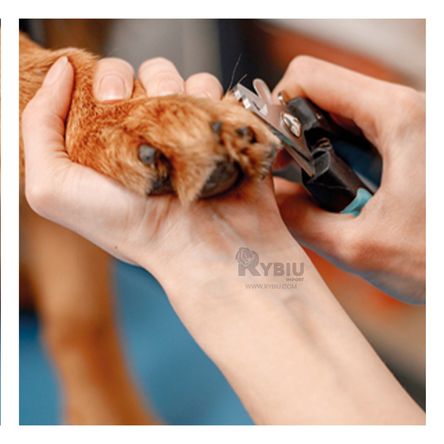 Maquina de Acero Corta Uñas de Color Celeste Y+Stickers Maquina de Acero Corta Uñas de Color Celeste Y+Stickers