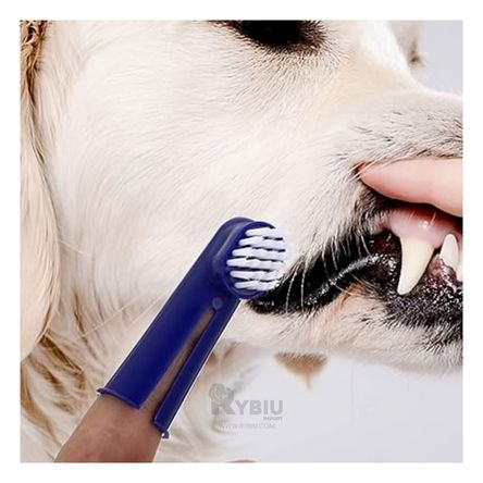 Kit Dental de Limpieza Mascotas Multicolor Y+Papel de Regalo Kit Dental de Limpieza Mascotas Multicolor Y+Papel de Regalo