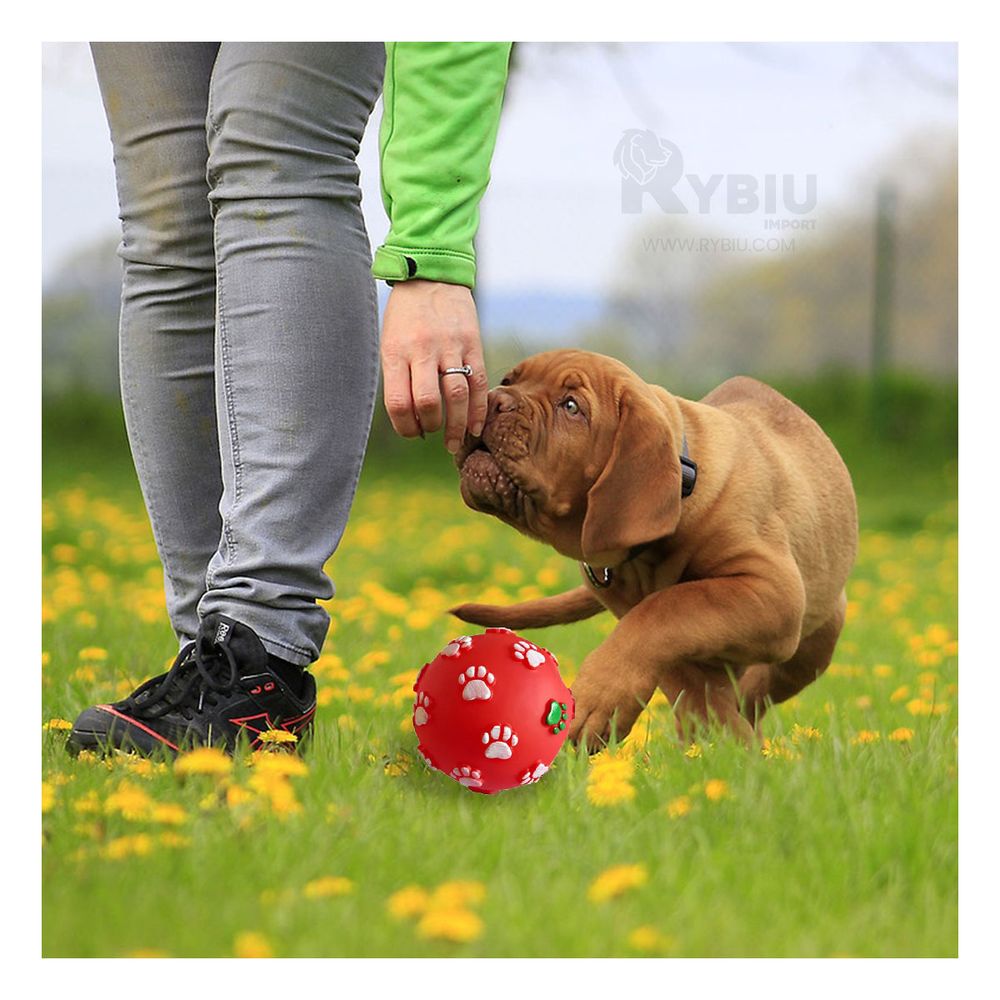 Pelota Antiestres para Mascotas en Rojo Y+Stickers Pelota Antiestres para Mascotas en Rojo Y+Stickers