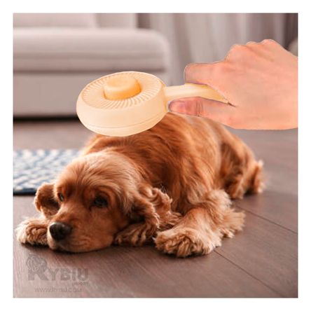 Cepillo para Mascotas y Quita Pelusas Naranja Y+Agendita Cepillo para Mascotas y Quita Pelusas Naranja Y+Agendita