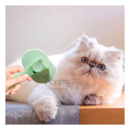 Cepillo de Limpieza para Gato con Mango Ergonomico Verde