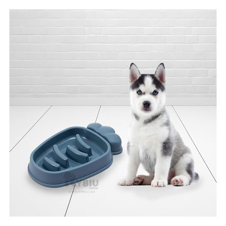 Plato Resistente para Comer de Color Azul Y+Agendita Plato Resistente para Comer de Color Azul Y+Agendita