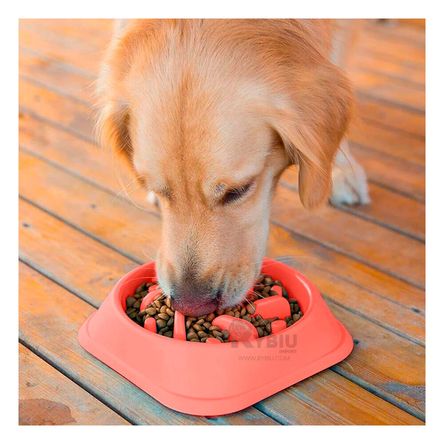 Plato Pet Antiestres Cuadrado Moderno de Color Rojo Plato Pet Antiestres Cuadrado Moderno de Color Rojo