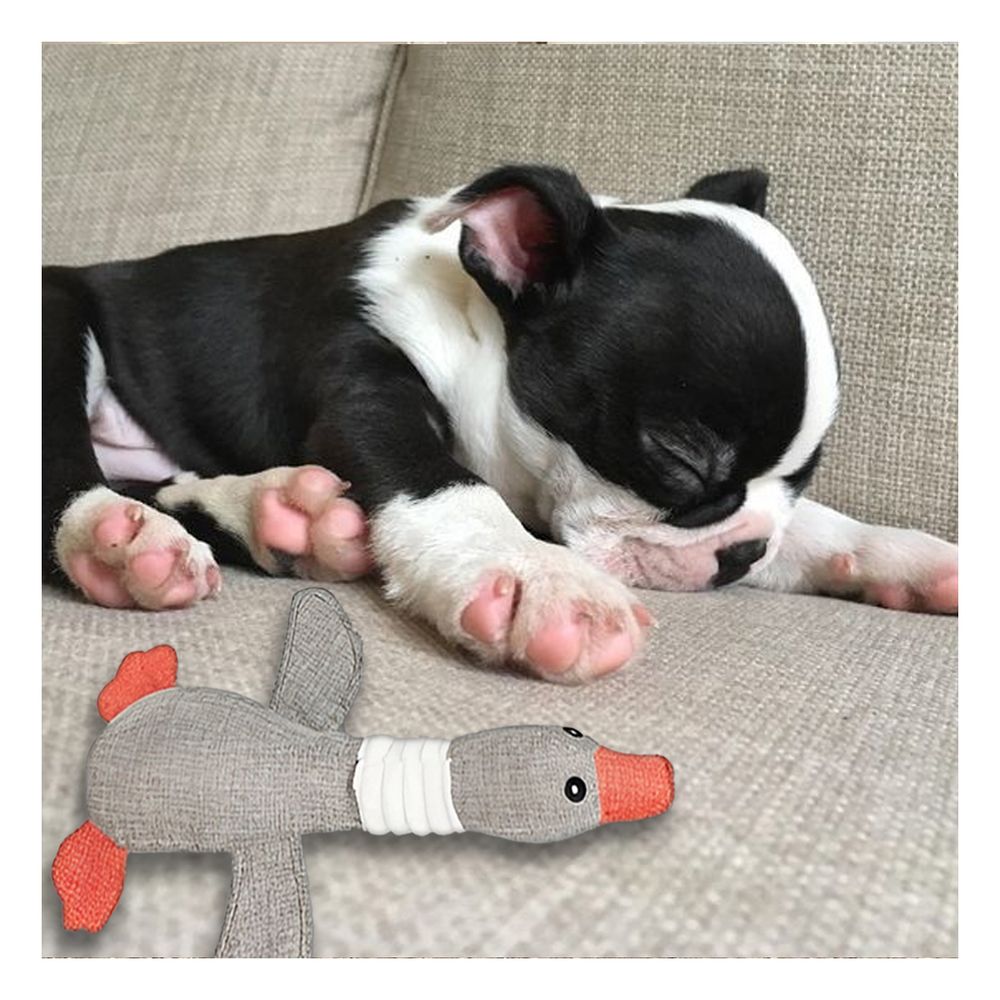 Peluche para Perros Activos de Pato en Tono Plomo Y+Agendita Peluche para Perros Activos de Pato en Tono Plomo Y+Agendita