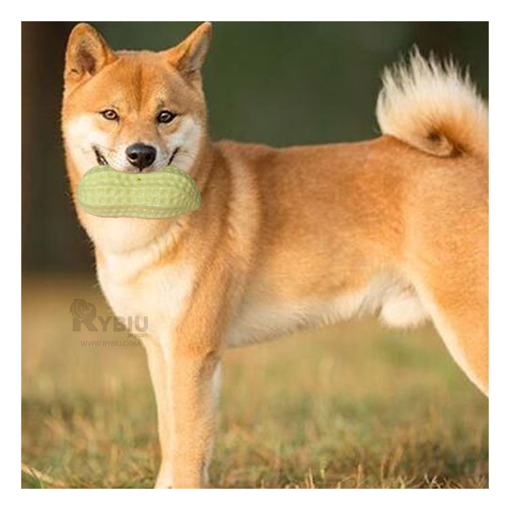 Masticador Funcional en Amarillo Bebe Y+Post-it adhesivos Masticador Funcional en Amarillo Bebe Y+Post-it adhesivos