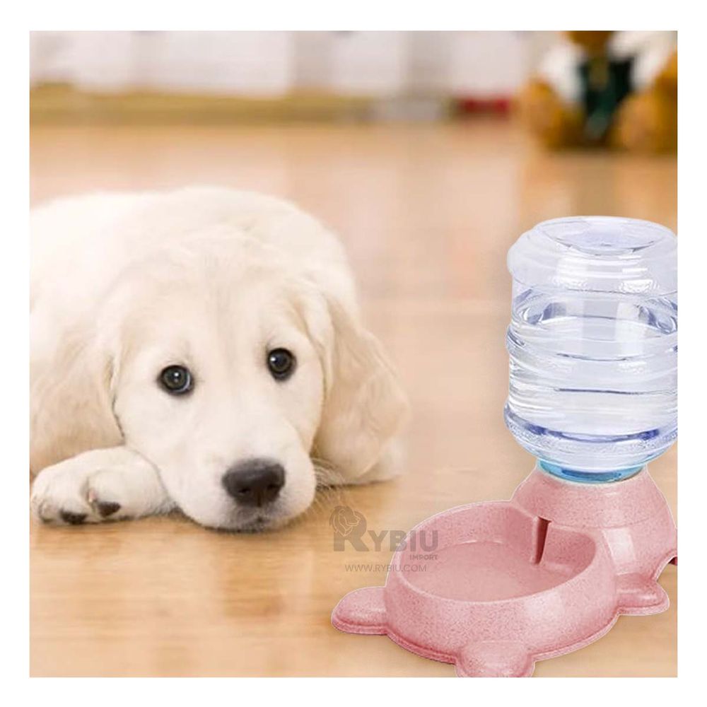 Bebedero con Bidon para Perro en Rosado Y+Papel de Regalo Bebedero con Bidon para Perro en Rosado Y+Papel de Regalo