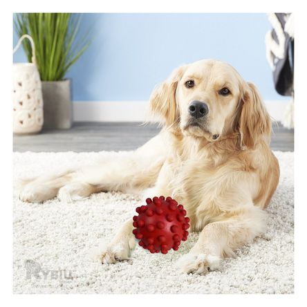 Balon Recreativo para Mascota en Rojo Y+Post-it adhesivos Balon Recreativo para Mascota en Rojo Y+Post-it adhesivos
