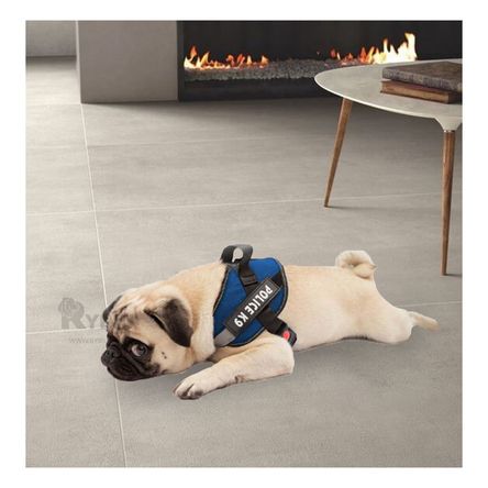 Arnes para Perros Activos Talla S de Color Azul