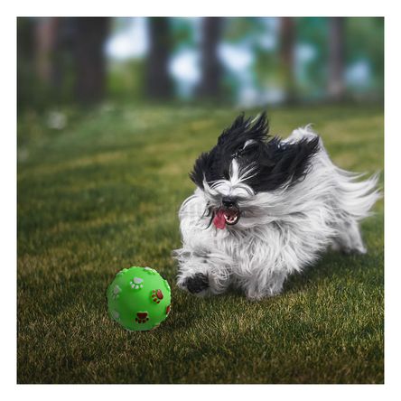 Pelota Chillosa para Perros con Esporas de Huellas en Verde Pelota Chillosa para Perros con Esporas de Huellas en Verde