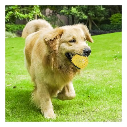 Set 3 Pelotas de Puas Con Luz Led Diseño Amarillo Set 3 Pelotas de Puas Con Luz Led Diseño Amarillo