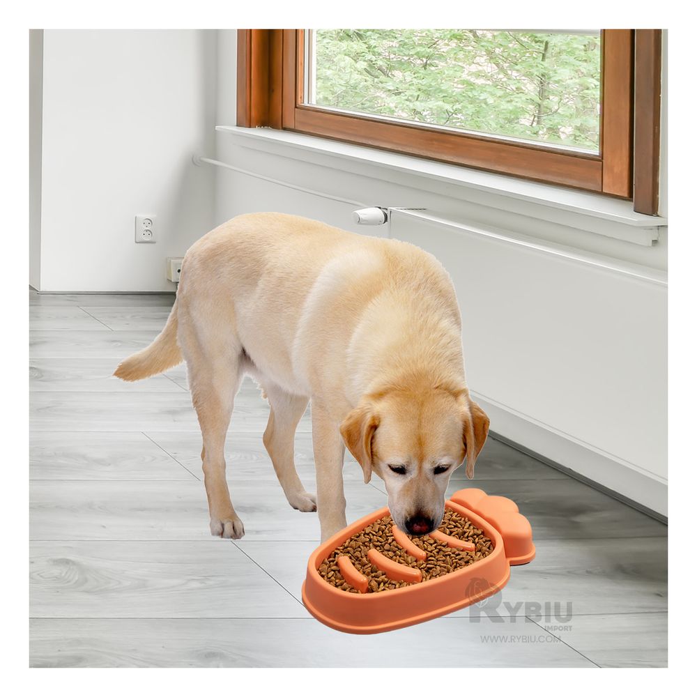 Plato Pet Antiestres Zanahoria Moderno de Color Naranja Plato Pet Antiestres Zanahoria Moderno de Color Naranja