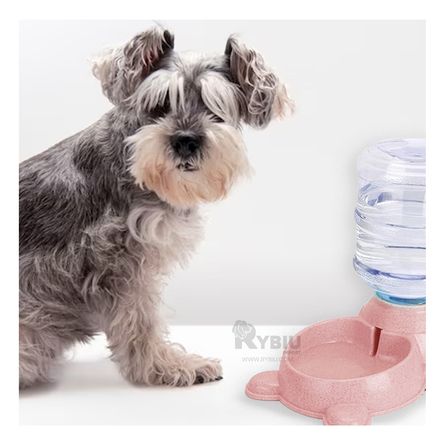 Bebedero Canino con Bidon de Plastico en Rosado Y+Stickers