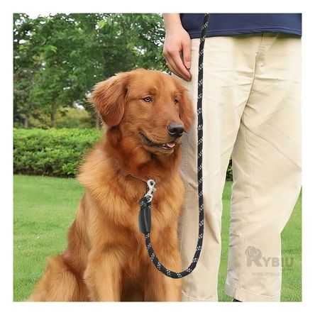 Soga Compacta Basica para Mascota Delgada 2m Y+Stickers Soga Compacta Basica para Mascota Delgada 2m Y+Stickers