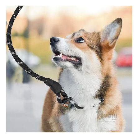 Soga Compacta Basica para Mascota Gruesa de 2m Y+Stickers Correa para Perro en Negro Gruesa de 2m Y+ Soga Compacta Basica para Mascota Gruesa de 2m Y+Stickers Correa para Perro en Negro Gruesa de 2m Y+