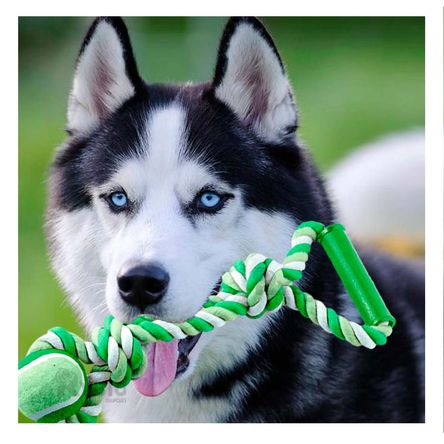 Soga Larga con Agarradera y Pelota de Tenis Verde Soga Larga con Agarradera y Pelota de Tenis Verde