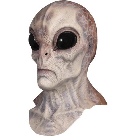 image-f78613d39ff242baa01120d1f662d432 image-f78613d39ff242baa01120d1f662d432