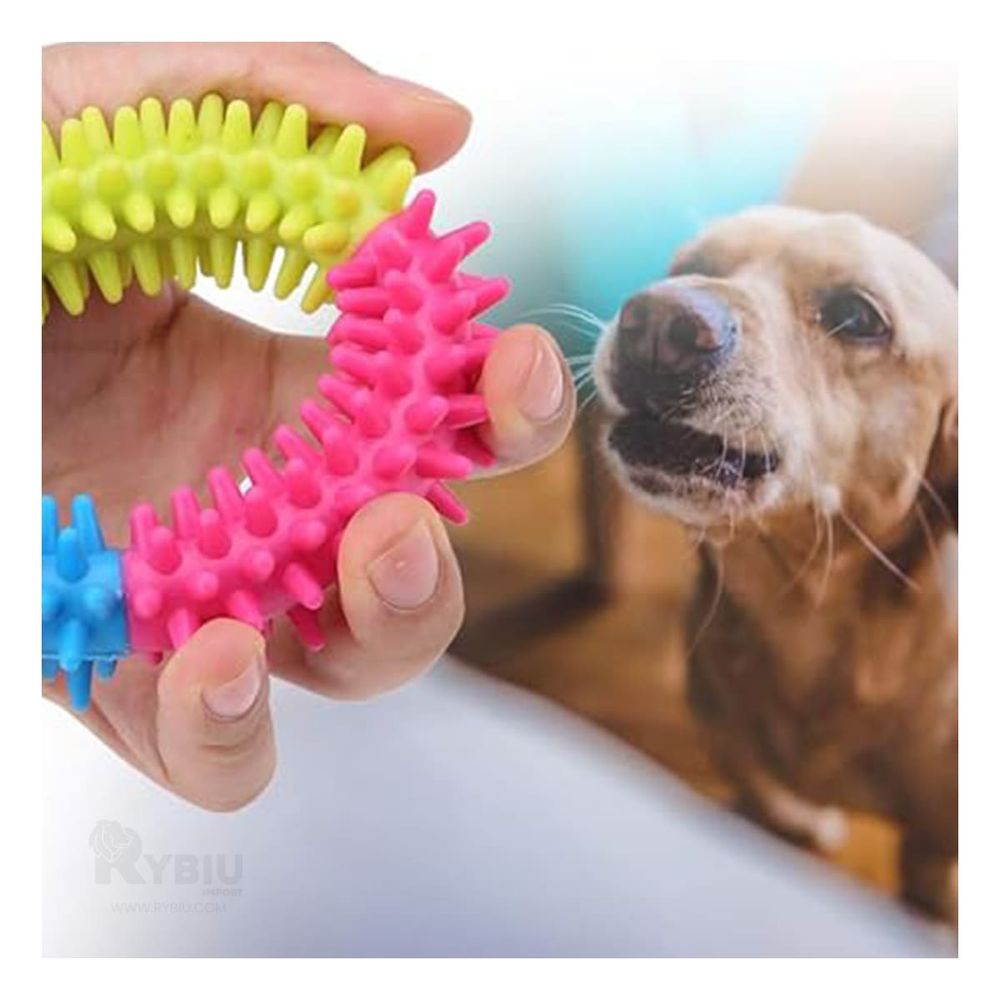 Aro de Juguete Pet de 11 cm Multicolor Y+Papel de Regalo Aro de Juguete Pet de 11 cm Multicolor Y+Papel de Regalo