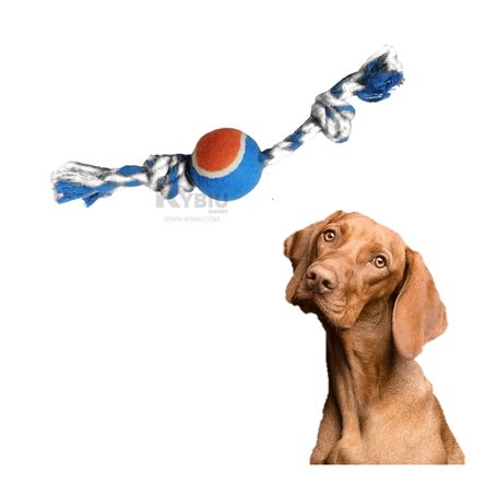 Cuerda de Perro para Morder Multicolor Y+Post-it adhesivos Cuerda de Perro para Morder Multicolor Y+Post-it adhesivos