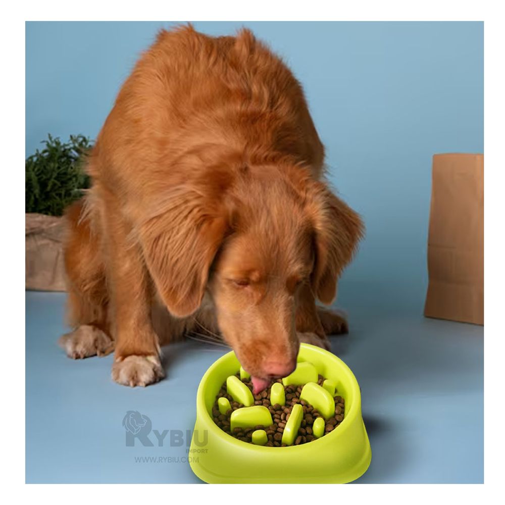 Plato Pet Antiestres Cuadrado Moderno de Color Verde Plato Pet Antiestres Cuadrado Moderno de Color Verde