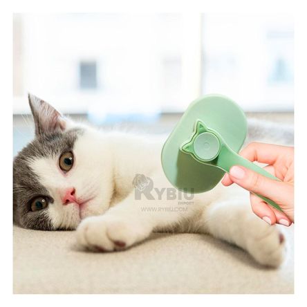 Cepillo con Boton de Limpieza de Color Verde Y+Stickers Cepillo con Boton de Limpieza de Color Verde Y+Stickers