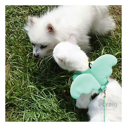 Arnes Resistente para Gatos en Color Turquesa Y+Agendita Arnes Resistente para Gatos en Color Turquesa Y+Agendita