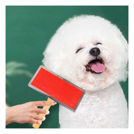 Cepillo Pet Facil Peinado Talla M en Rojo Y+Papel de Regalo Cepillo Pet Facil Peinado Talla M en Rojo Y+Papel de Regalo