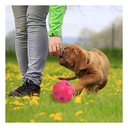 Juguete Esferico para Mascotas en Rosado Y+Post-it adhesivos