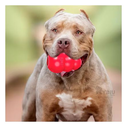 Juguete Pera de Caucho para Perro 3 bolas Rojo en Grande