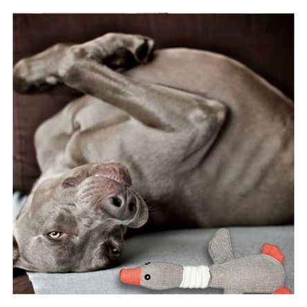 Juguete Simple de Lavar en Tono Plomo Y+Post-it adhesivos Juguete Simple de Lavar en Tono Plomo Y+Post-it adhesivos