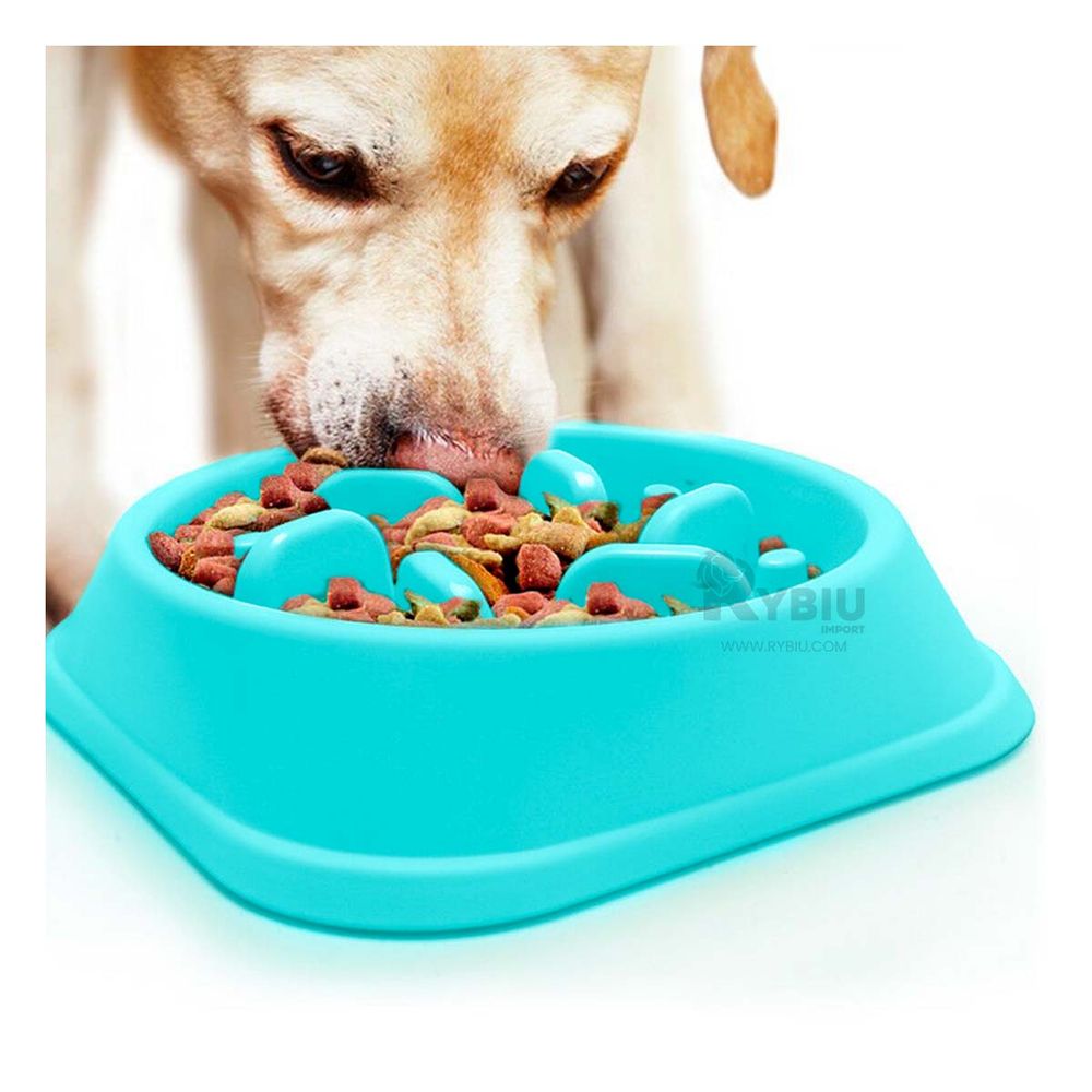 Plato Pet Antiestres Cuadrado Moderno de Color Celeste Plato Pet Antiestres Cuadrado Moderno de Color Celeste