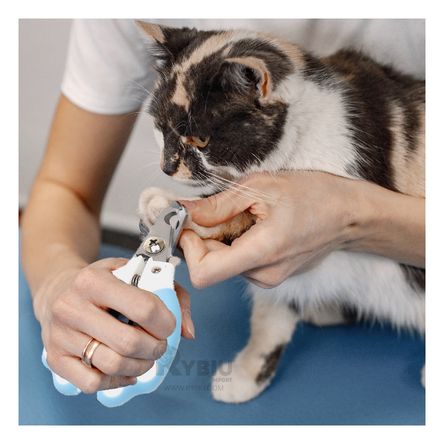 Corta Uñas Firme para Gatos Chico en Celeste Y+Agendita