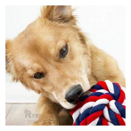 Pelota de Juguete Trenzada de Algodon Multicolor Y+Agendita Pelota de Juguete Trenzada de Algodon Multicolor Y+Agendita