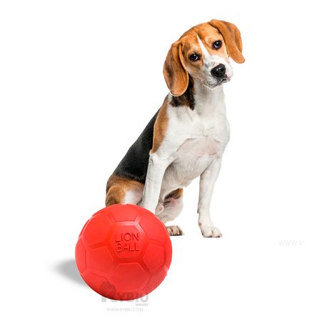 Pelota Resistente a Mordida en Talla S en Rojo Y+Stickers