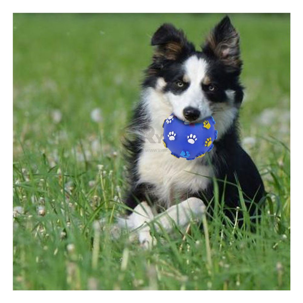 Pelota Antiestres para Perros en Talla M Azul Y+Stickers Pelota Antiestres para Perros en Talla M Azul Y+Stickers