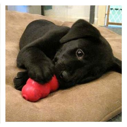 Juguete de 3 Bolas Color Llamativo en Rojo Chico Y+Agendita Juguete de 3 Bolas Color Llamativo en Rojo Chico Y+Agendita