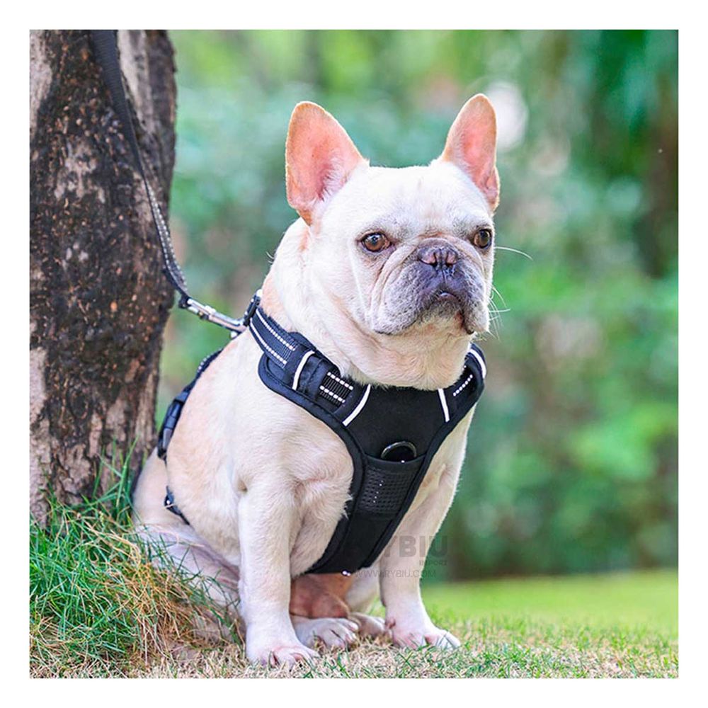 Pechera Harness Acolchado para Perro Talla S de Color Negro Pechera Harness Acolchado para Perro Talla S de Color Negro
