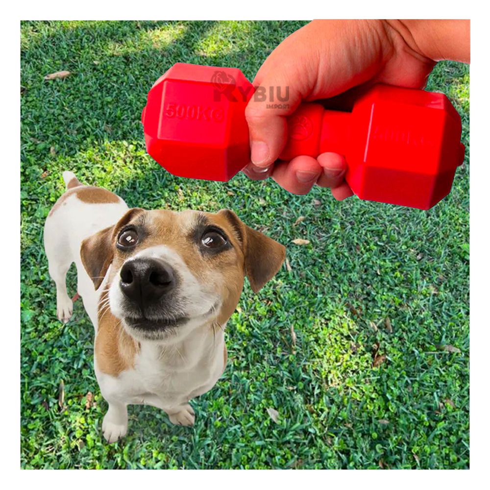 Juguete Divertido de Caucho para Mascotas en Rojo Y+Stickers Juguete Divertido de Caucho para Mascotas en Rojo Y+Stickers