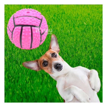 Pelota Duradera para Perros de Color Rosado Y+Stickers