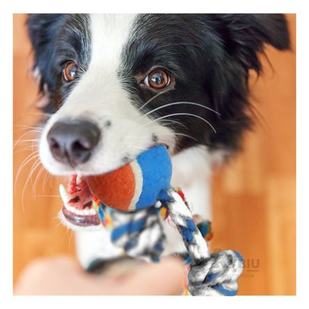 Soga de Entrenamiento para Mascotas Multicolor Y+Agendita Soga de Entrenamiento para Mascotas Multicolor Y+Agendita