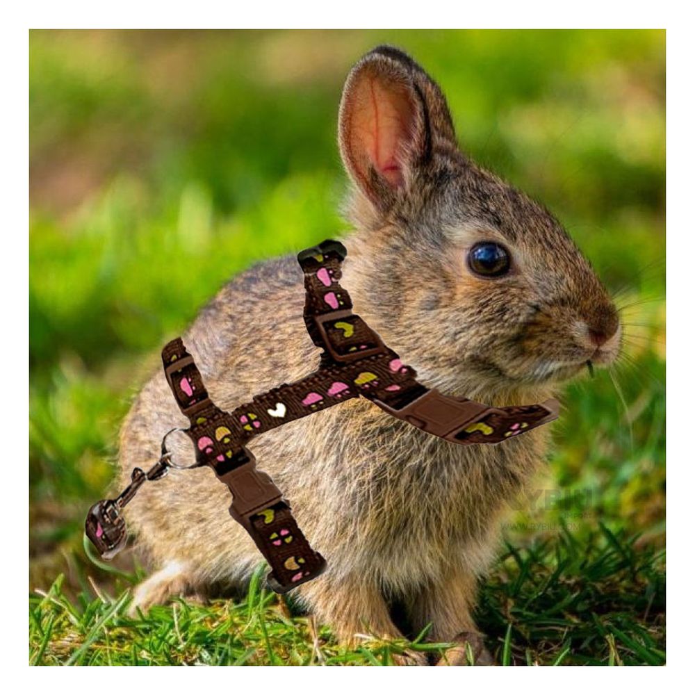 Arnes Practico para Conejos Delgado Color Marron Y+Agendita Arnes Practico para Conejos Delgado Color Marron Y+Agendita