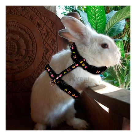 Arnes Practico para Conejos Delgado en Tono Negro Y+Agendita Arnes Practico para Conejos Delgado en Tono Negro Y+Agendita