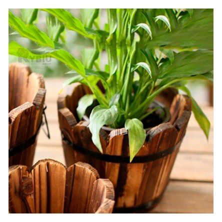 Macetero de Flores de Madera Modelo Barril 12cm Y+Stickers Macetero de Flores de Madera Modelo Barril 12cm Y+Stickers