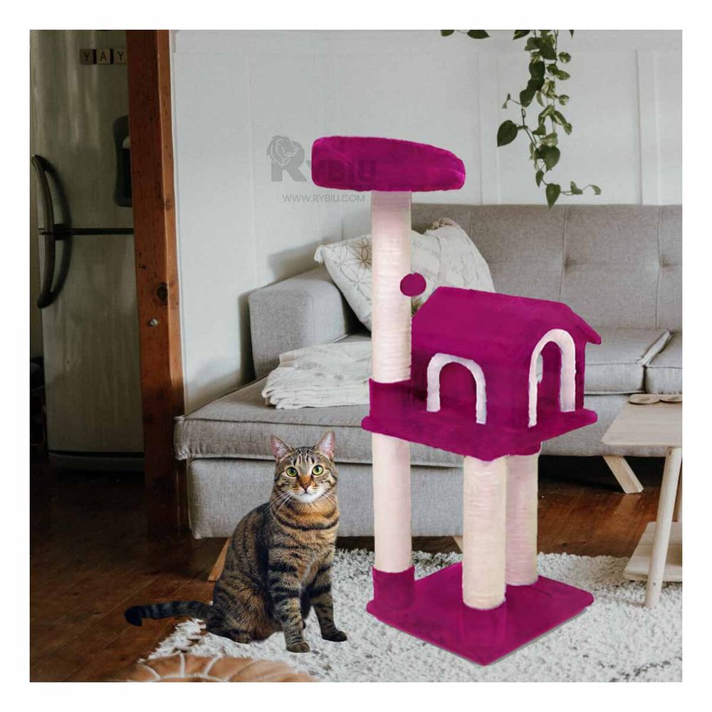 Gimnasio Comodo y Versatil de Cat Color Fucsia Y+Agendita Gimnasio Comodo y Versatil de Cat Color Fucsia Y+Agendita